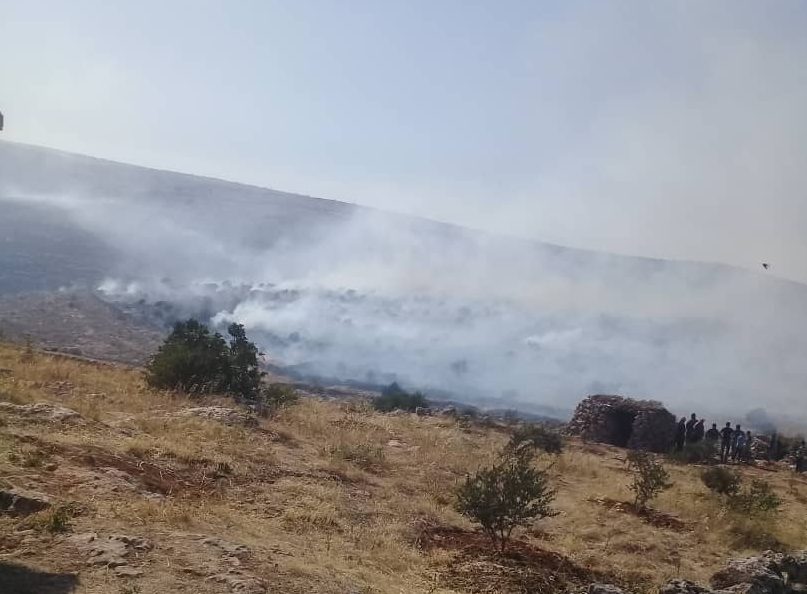 بالفيديو: الاحتلال يُضرم النيران بأشجار قريتي 