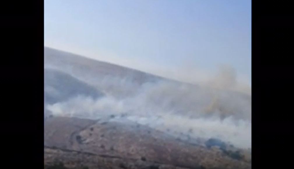 بالفيديو: حرق أكثر من 8310 شجرة زيتون لأكثر من 40 مُزارع كُردي في شيراوا