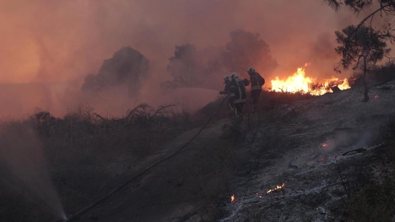 الحرائق تلتهم 20 هكتاراً من الأشجار الحراجية والمثمرة في ناحية شيه