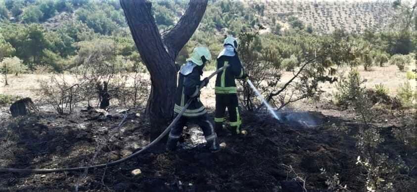 حريق مفتعل في غابة حراجيّة في قرية كفرصفرة