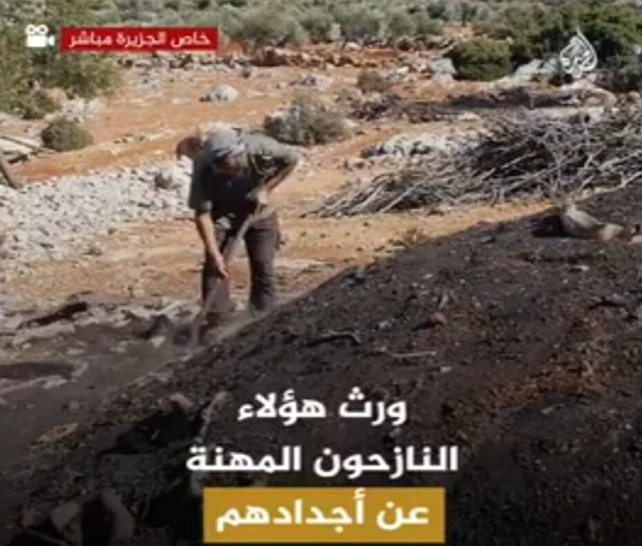 قناة الجزيرة القطرية تبرر قطع الغابات وإزالتها بمعلومات كاذبة