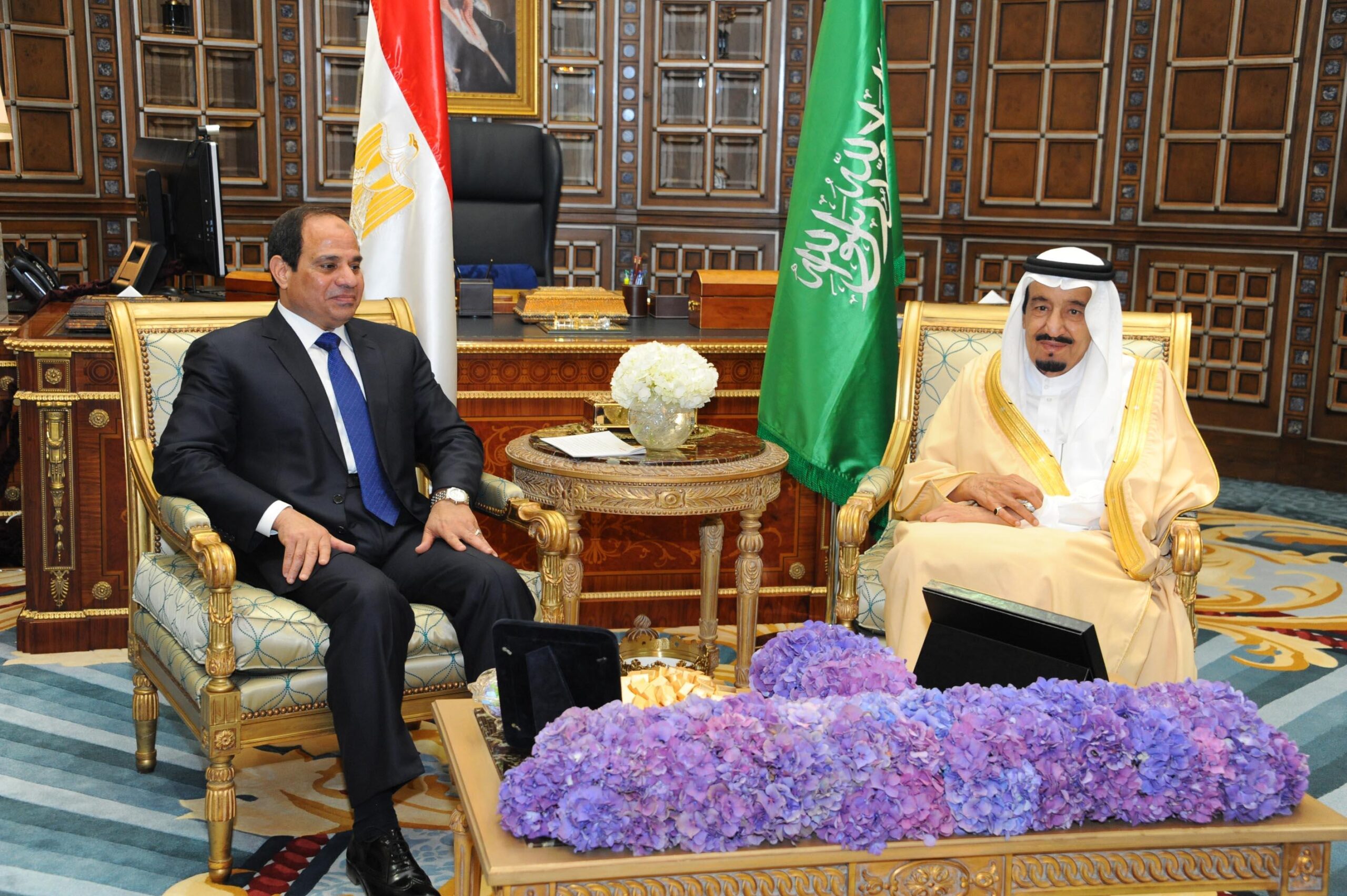 مصر والسعودية تؤكدان رفض التدخل وأي تهديدات بعمليات عسكريّة تمسُّ الأراضي السوريّة