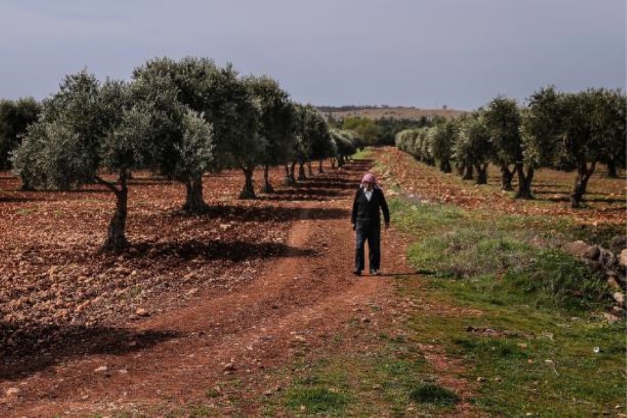 Islamic militias take the elderly out of their homes, where they live alone!