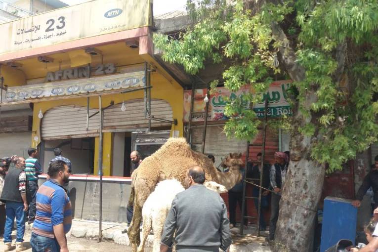 Kurdish citizens in Afrin confront the thieves from Ghouta settlers