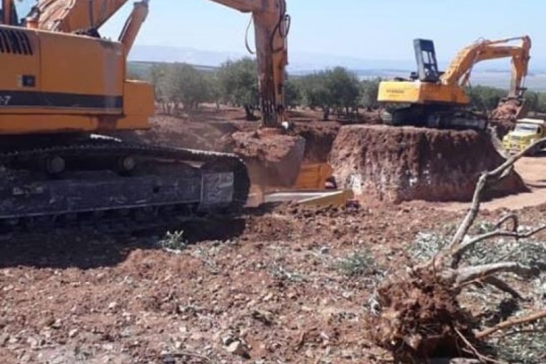 “Ahrar al-Sharqiya” militia uprooted 70 olive trees from the lands of the “Ghubari family” to build shops