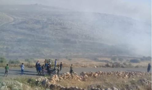 Islamic militias deliberately burn trees and crops in four villages of Shirawa district