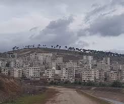 Islamic militia and settlers continue to cut down the trees of “Mahmudiyah” forest in Afrin