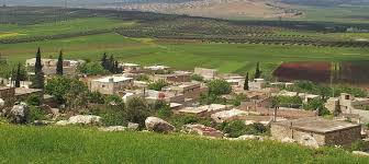 Settlers steal the pistachio season in Qibareh village