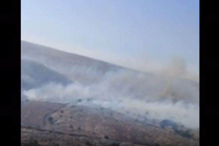 Video: Burning more than 8,310 olive trees of more than 40 Kurdish farmers in Sherawa