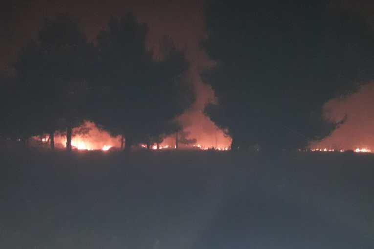 Islamic militias' fire reaches the trees of the village of Soghanakeh