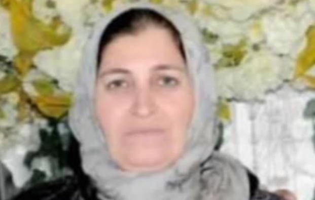 Kurdish woman killed by a mine explosion in Qasim village