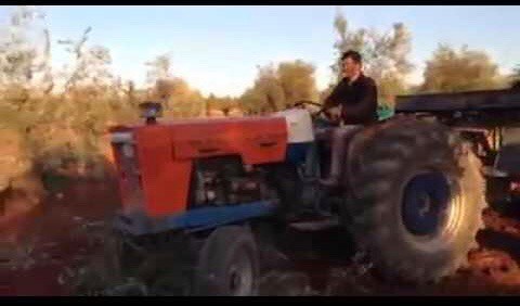 Militia checkpoints impose transit fees on olive produce at the western entrance to Afrin