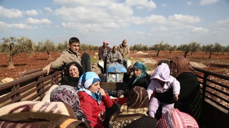 Kurdish citizens give up harvesting their olives after the huge royalties imposed by the militias