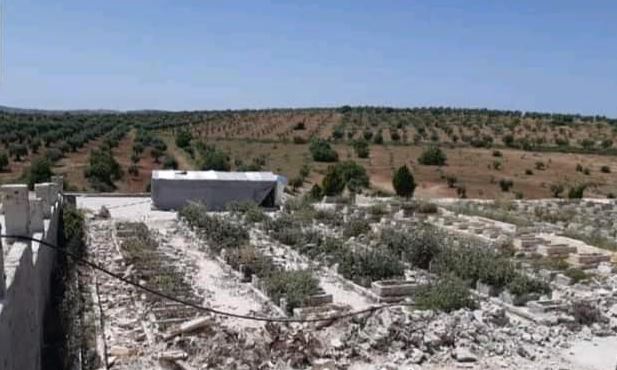 In Matina, “Malak Shah” militia looted the olive harvest of Kurdish civilians