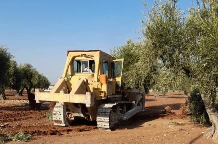 Occupation full tracked vehicles uproot dozens of olive trees in Jenderes ... and its militias cut down 4,400 in Bulbula