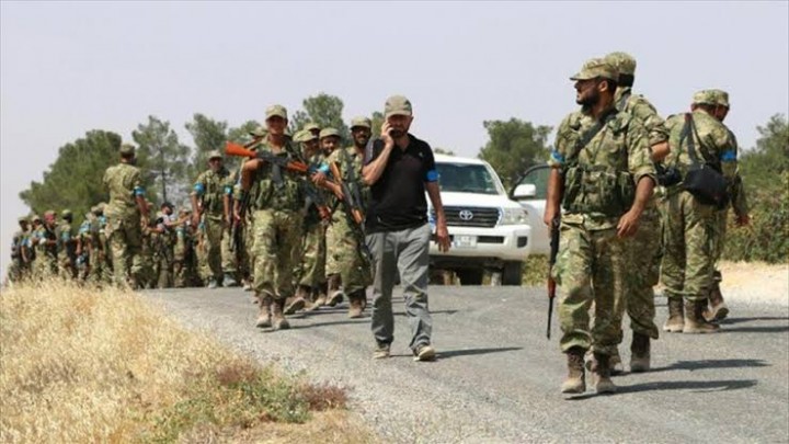 “Failaq al-Sham” militia looted the fruits of 130 olive trees in Det Ballut, Jenderes