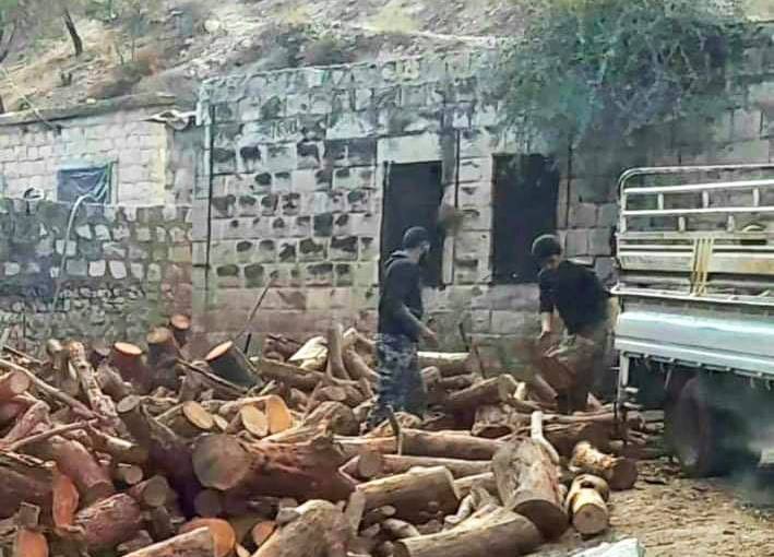 “Al-Sharqiya” militia opens a wood trading center in Khalata, Janders, which is cut from the coniferous forests adjacent to the village.