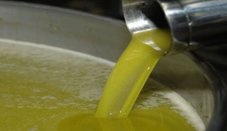 More than 18,000 liters of olive oil .. the tax of the “Hamza” militia on the village of Marate