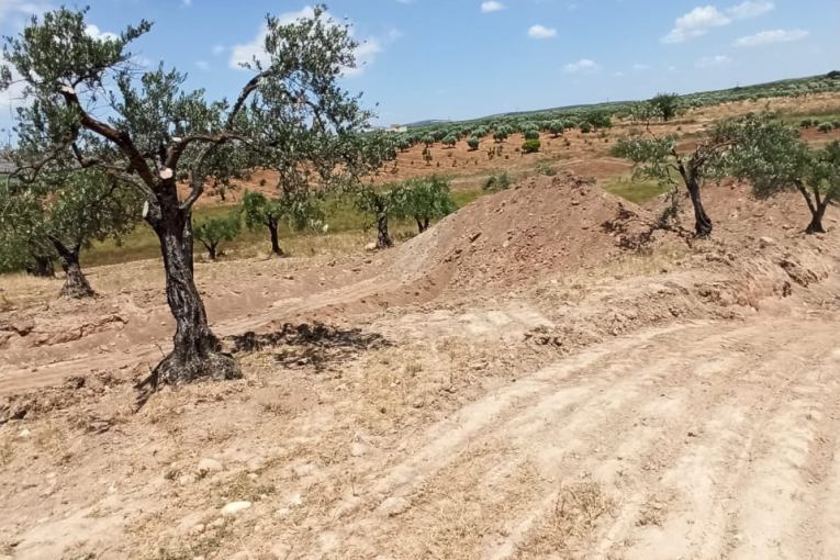 In pictures: Archaeological hill bulldozed and destroyed by Turkey's militants in Jindires sub-district