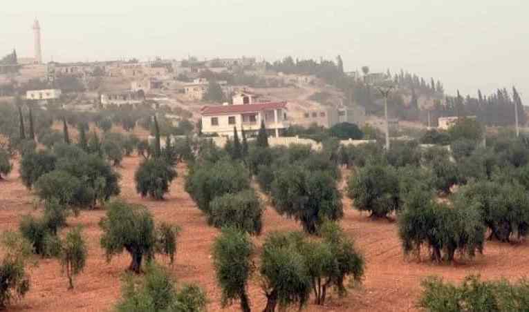 Dispute over stolen antiquities escalated into clashes between Jaish al-Nukhba and Suqour Al Shamal in Afrin