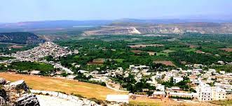 2,000 olive and pomegranate trees uprooted to construct new Turkish base and settlement