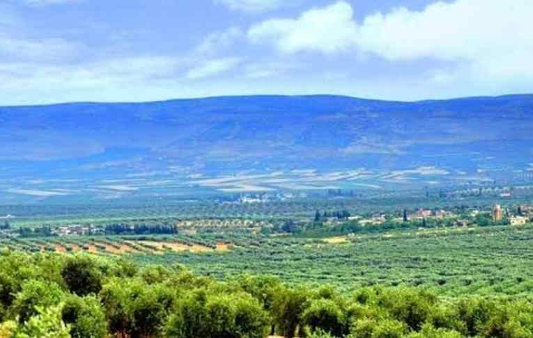 Under threat of death: Hamzah militia expels Kurdish family from their home in Afrin countryside