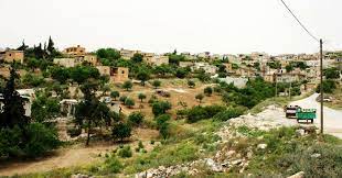 Pro-Turkey gunmen impose new royalties and increase burden on inhabitants of Kokane village in Afrin