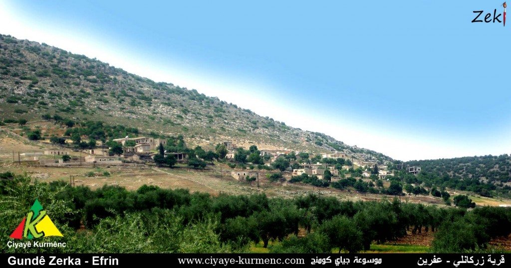 While guarding his olive field, Turkish-backed 