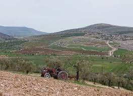 Pro-Ankara “Al-Majd Corps” militia imposes 300 olive oil tin cans as royalty on villagers in Syria's Afrin