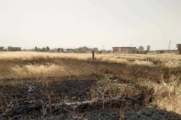 Turkish shelling devours wheat and barley planted lands in Al-Shahba, northern Syria