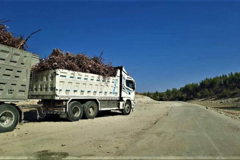 Folowing massive logging: Ahrar Al-Sharqiya sell cleared lands in Afrin