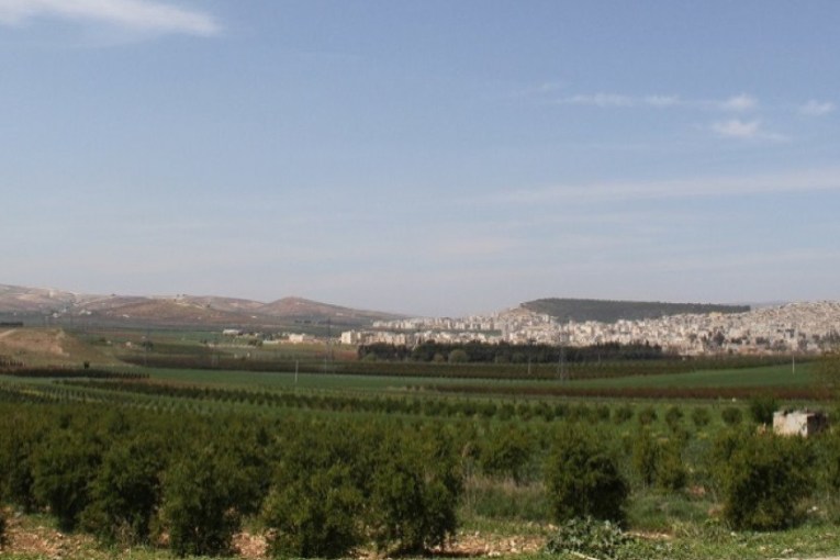 “Al-Shamiya” leader prohibits people in Maryamin from harvesting olive crop