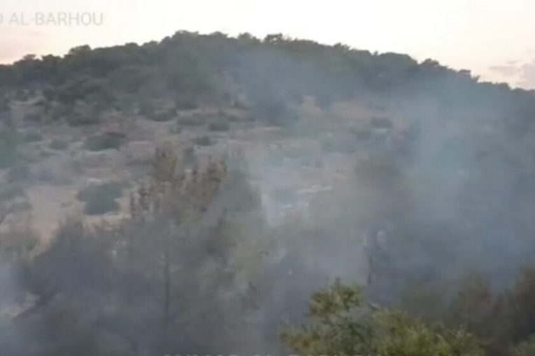 “Al-Waqqas” militia set fire to Hammam forest and harvest then log 203 olive trees