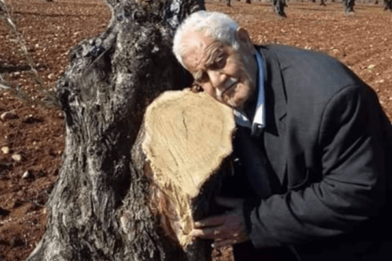 Pro-Turkish militants assault and threaten an elderly Kurd in Afrin