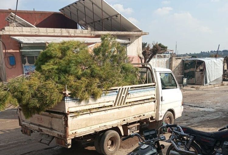 Pro-Turkey militia vehicles transport stolen logged trees from Afrin towards Idlib