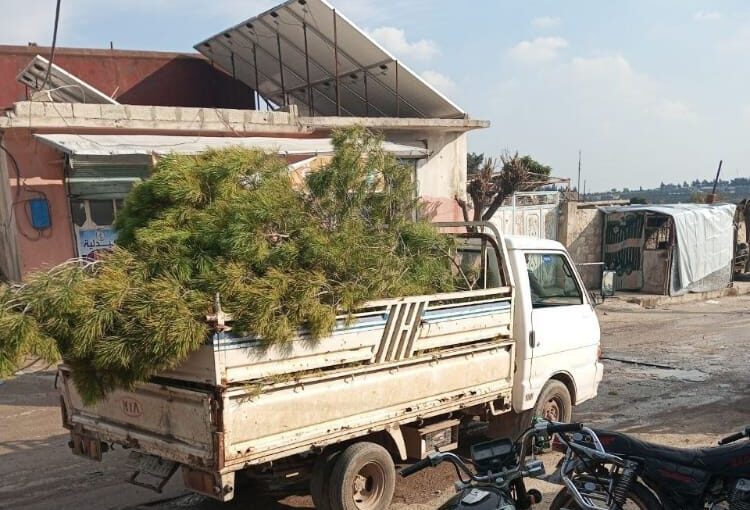 Turkish-backed militants log olive trees in Afrin