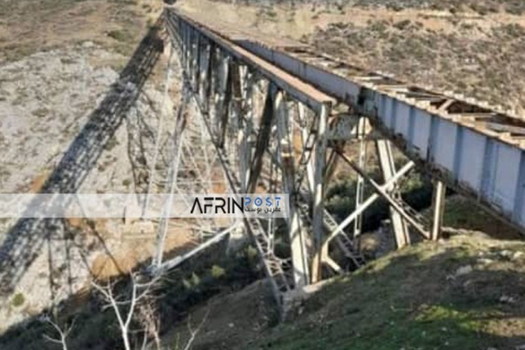 In pictures: Pro-Turkey militants loot timber and iron beams from Hasharka Bridge in Rajo, Afrin