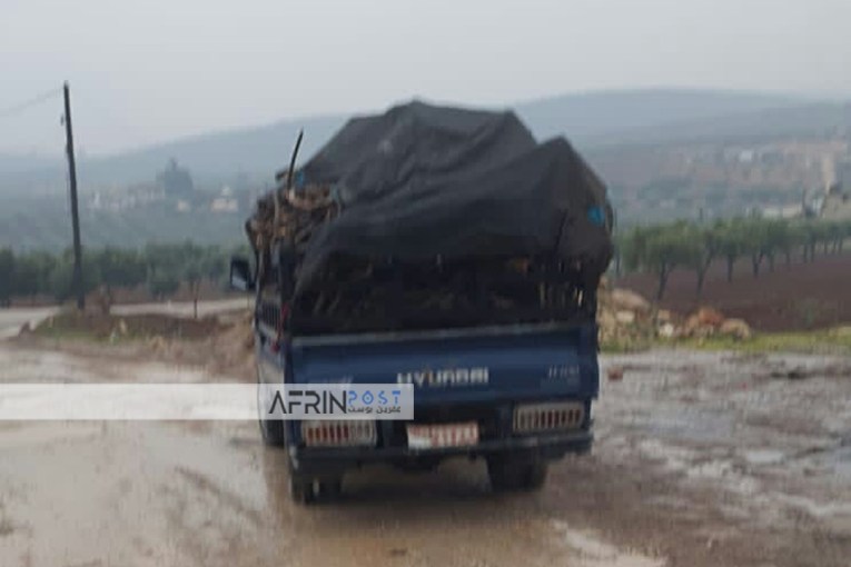 Al-Hamzat Uproot Pomegranate Trees and Impose Taxes on Grape Harvest