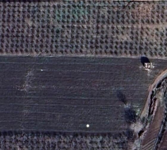 Desperate Kurdish Farmers in Afrin Forced to Cut Down Their Own Trees Amid Ongoing Militia Oppression