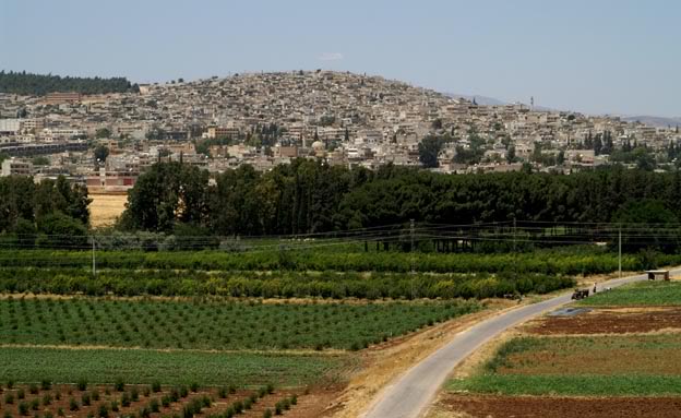 Unauthorized Property Sales in Afrin Continue Amidst Turkish Militia Control