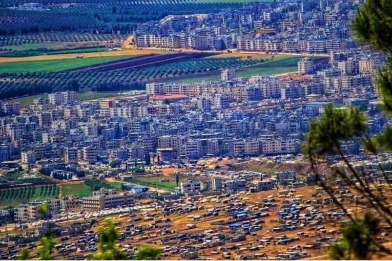 Militants Log Olive Trees, Armed Robbery Strikes Residential Area in Afrin