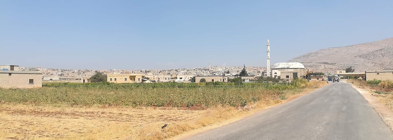 لحوم الأضاحي تتسبب بمقـ تل وإصابة 7 عناصر من ميليشيا فيلق الشام في بلدة تلعادة بريف إدلب الشمالي