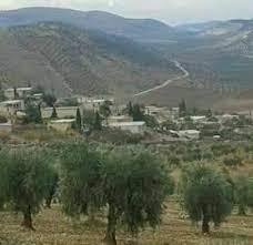 Armed Robbers Pillage Elderly Citizen's Home in Ashwana Village, Afrin