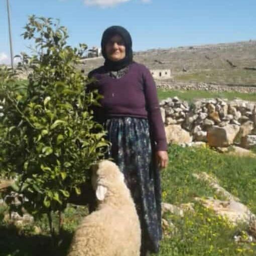 Elderly Kurdish Woman Killed in Syrian Regime Shelling in Afrin