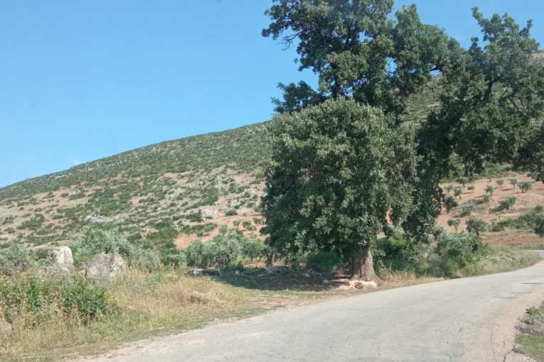 Local Resident Assaulted and Intimidated by Militia Members in Afrin