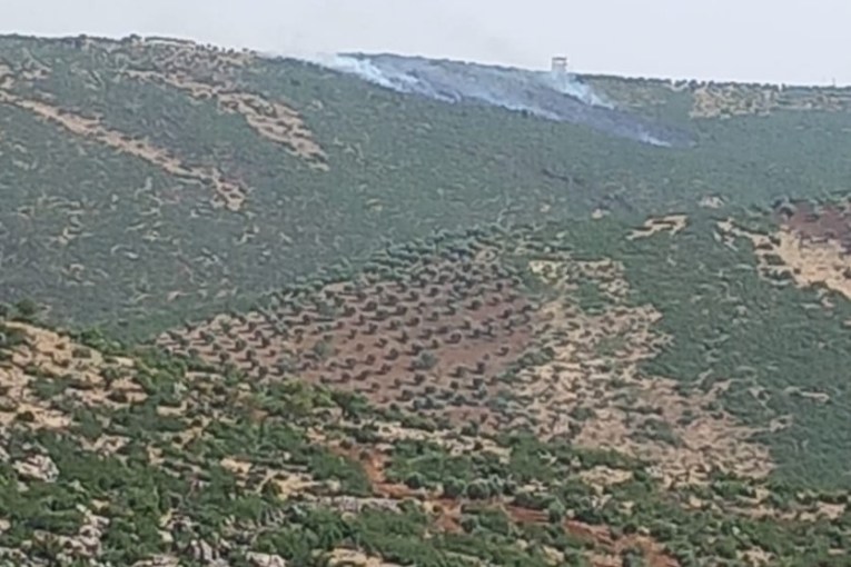 Infighting Among Militias Halts Wheat Harvest; Arson in Forests in Afrin