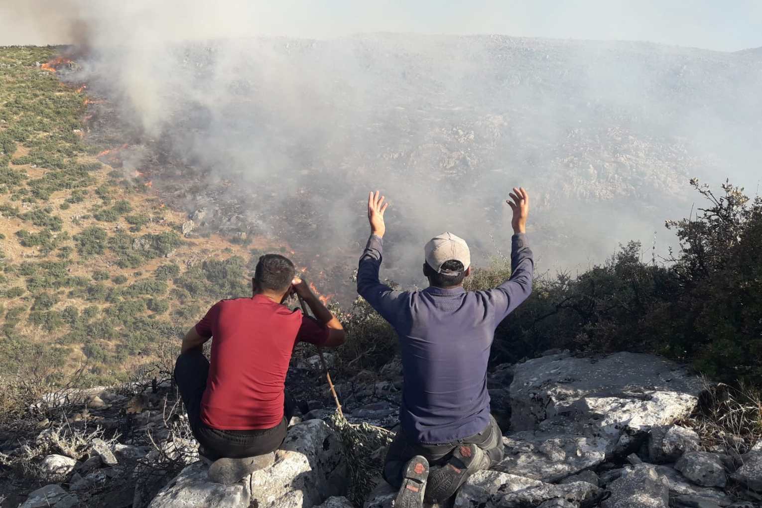 Widespread Forest Fires in Afrin Mountains