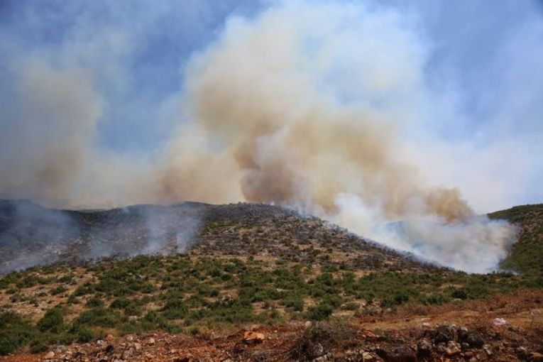 Massive Forest Fires in Afrin: Arson Suspected