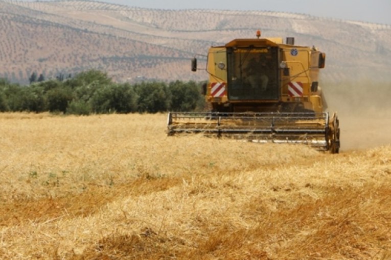 Milîsên dagirkeriyê 15% weke bac li ser berhemên genim û çeh li gundê Qestelkîşk û Cûmkê sepand