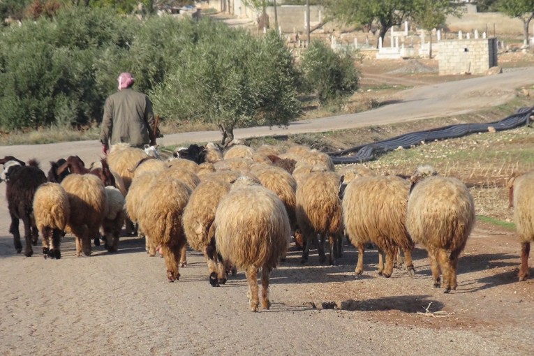 3 Şivanên niştedagîr li gundê Kêla yê Bilbilê êrîşî welatiyekî Kurd û 2 zarokên wî kirin û bi giranî li wan dan